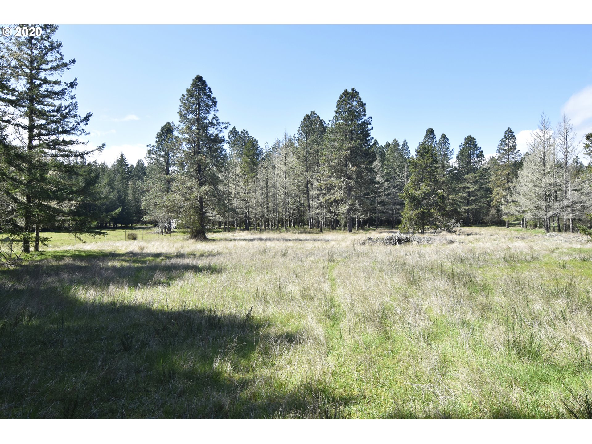 89494 Demming Road Elmira, OR 97437 - Photo 20 of 22 Gallery Image 20