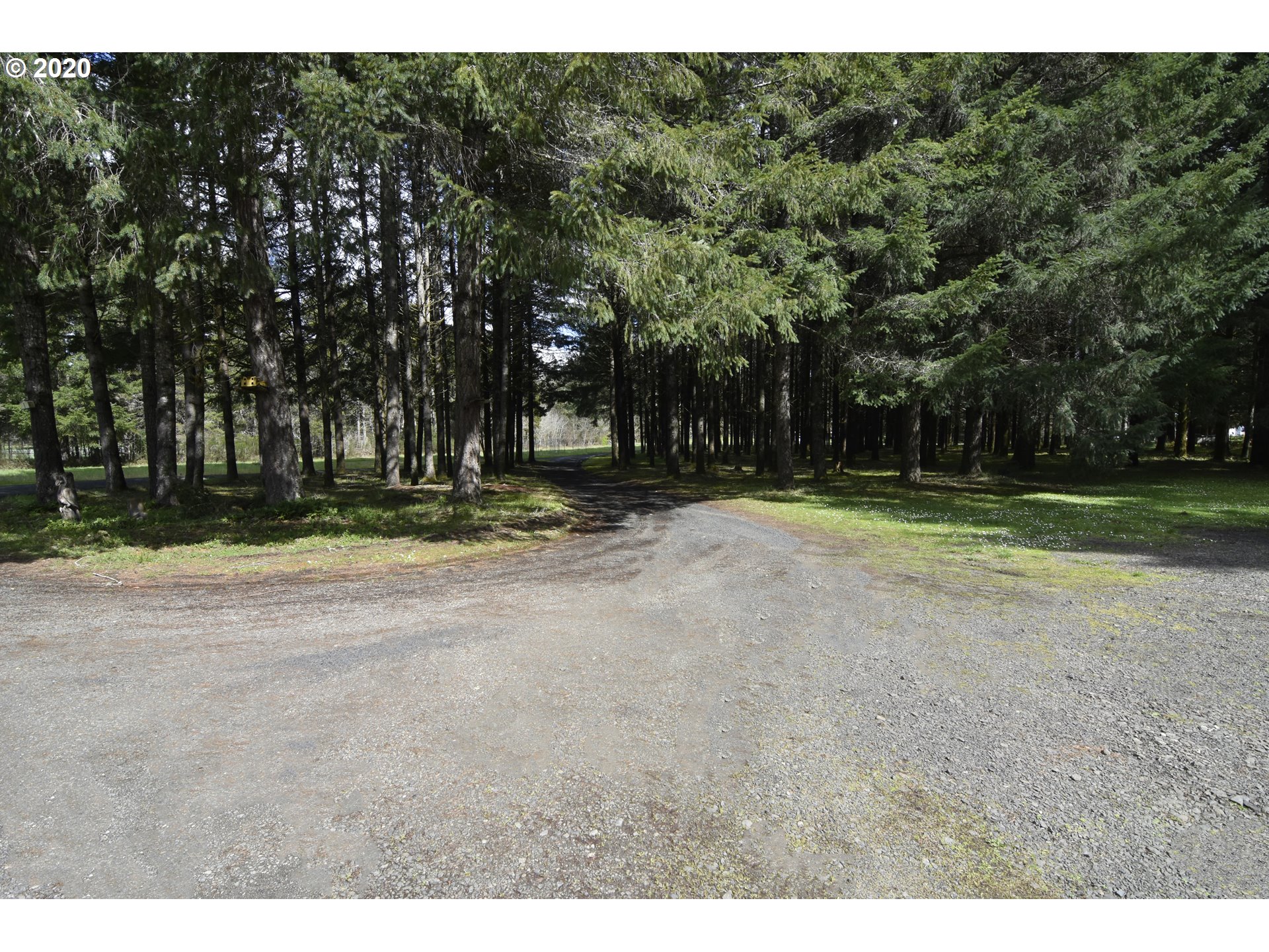89494 Demming Road Elmira, OR 97437 - Photo 5 of 22 Gallery Image 5