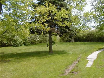 5270 Territorial Road Benton Harbor, MI 49022 - Photo 5 of 12 Additional Photo