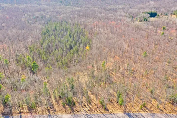 $90,000 | Buettner Road, Unit 2, White Lake, WI 54491