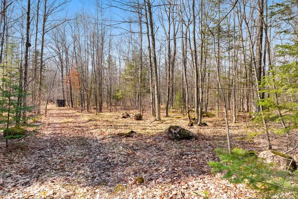 $90,000 | Buettner Road, Unit 2, White Lake, WI 54491