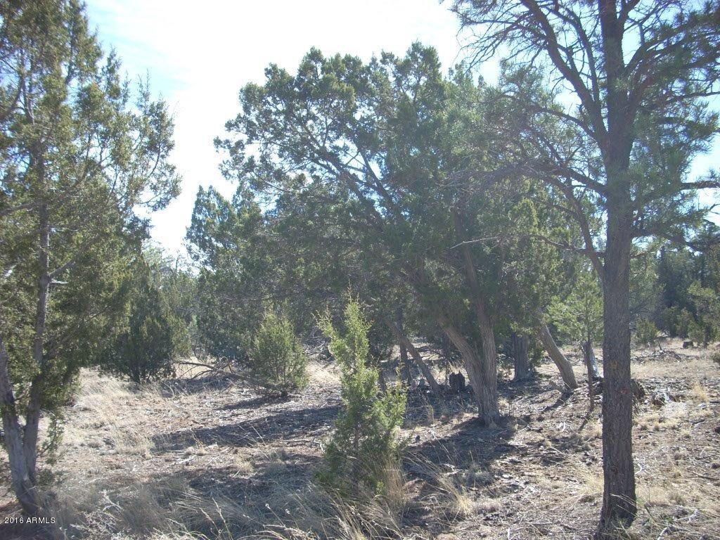 3241 Bigler Road, Unit 7 Overgaard, AZ 85933 - Photo 1 of 17 1