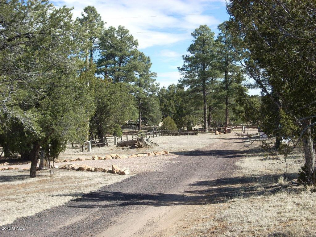 3241 Bigler Road, Unit 7 Overgaard, AZ 85933 - Photo 17 of 17 street view