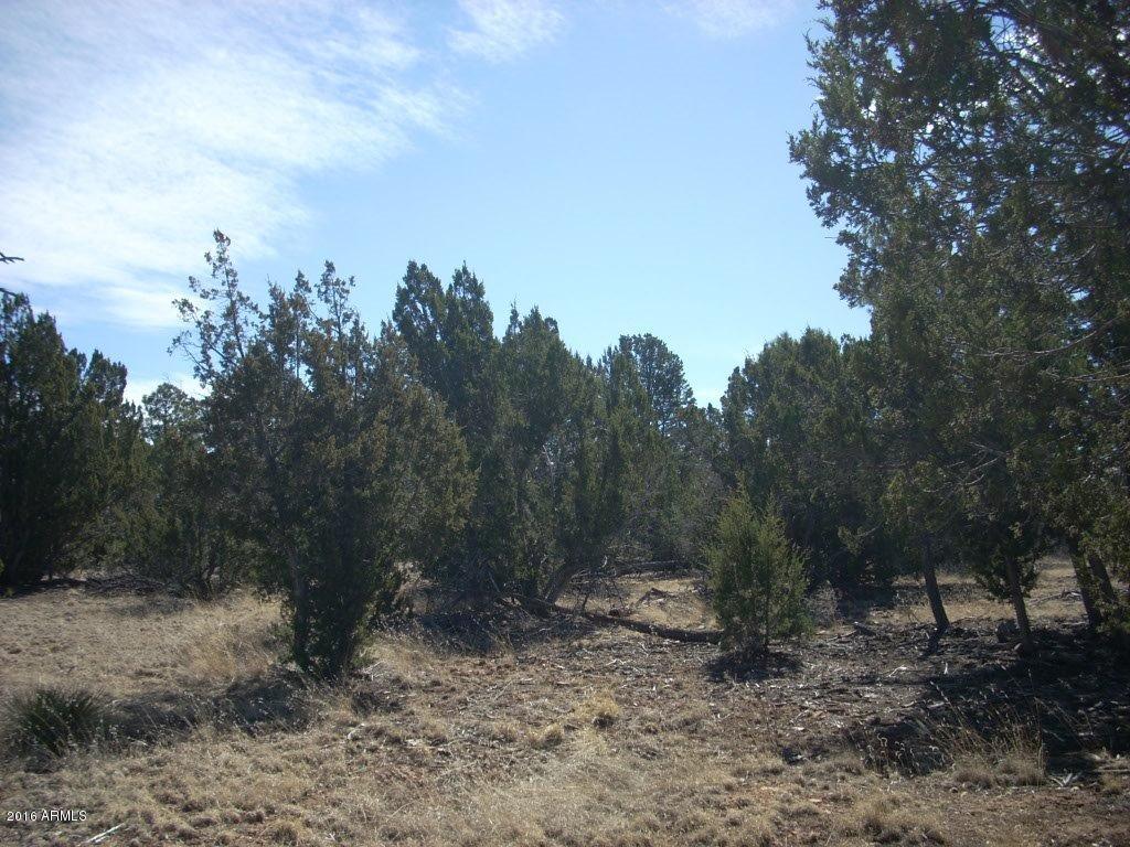 3241 Bigler Road, Unit 7 Overgaard, AZ 85933 - Photo 2 of 17 3241 Bigler (3)