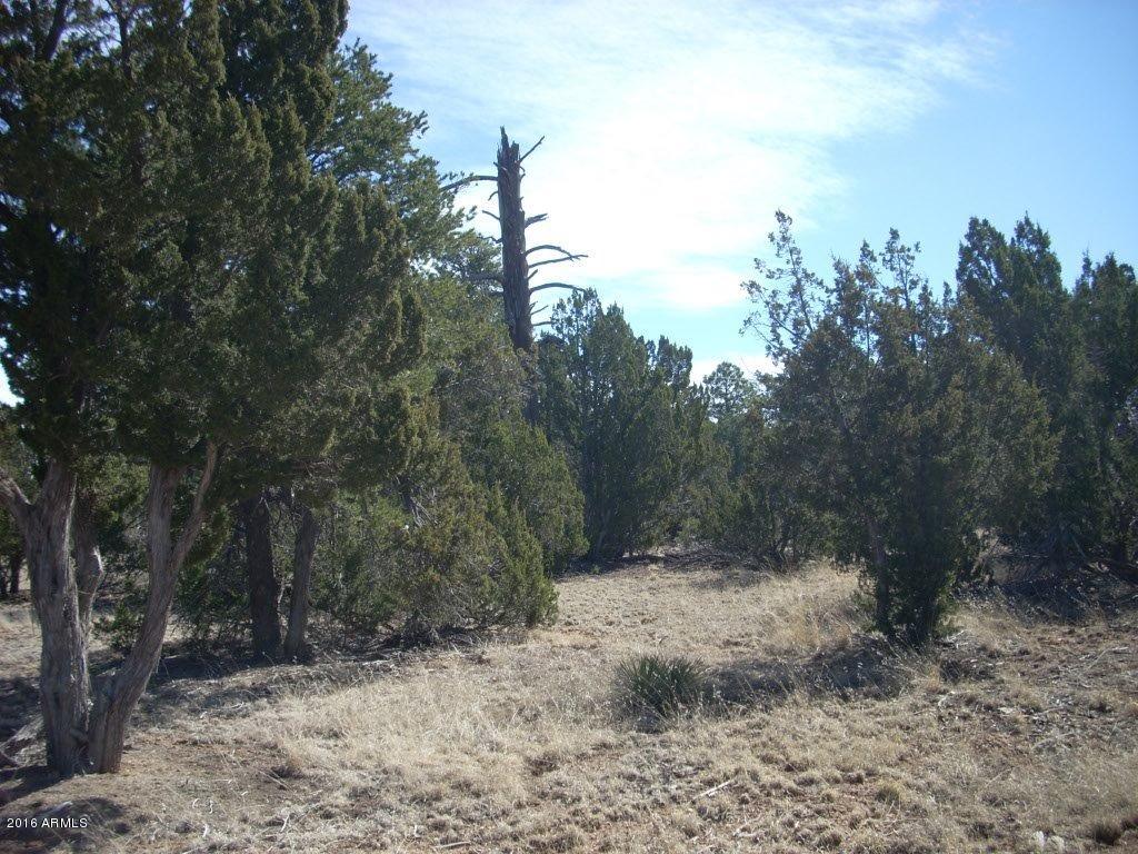 3241 Bigler Road, Unit 7 Overgaard, AZ 85933 - Photo 3 of 17 3241 Bigler (4)