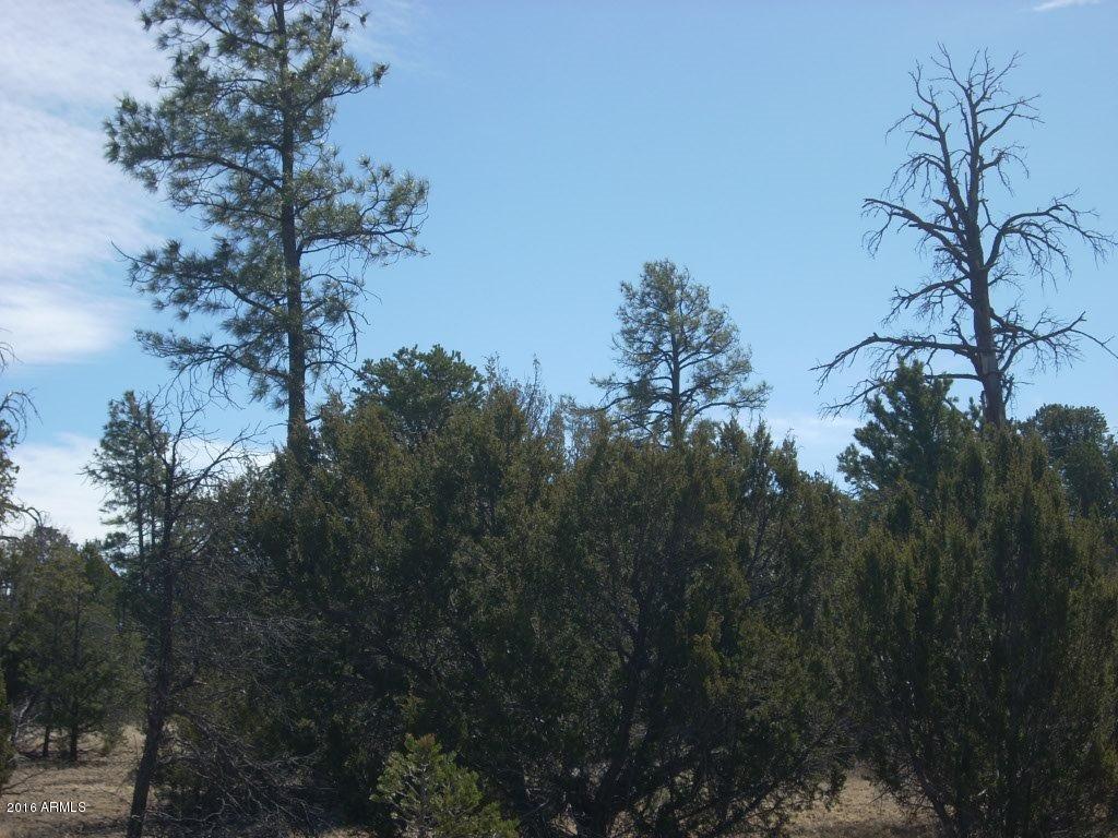 3241 Bigler Road, Unit 7 Overgaard, AZ 85933 - Photo 9 of 17 3241 Bigler (10)