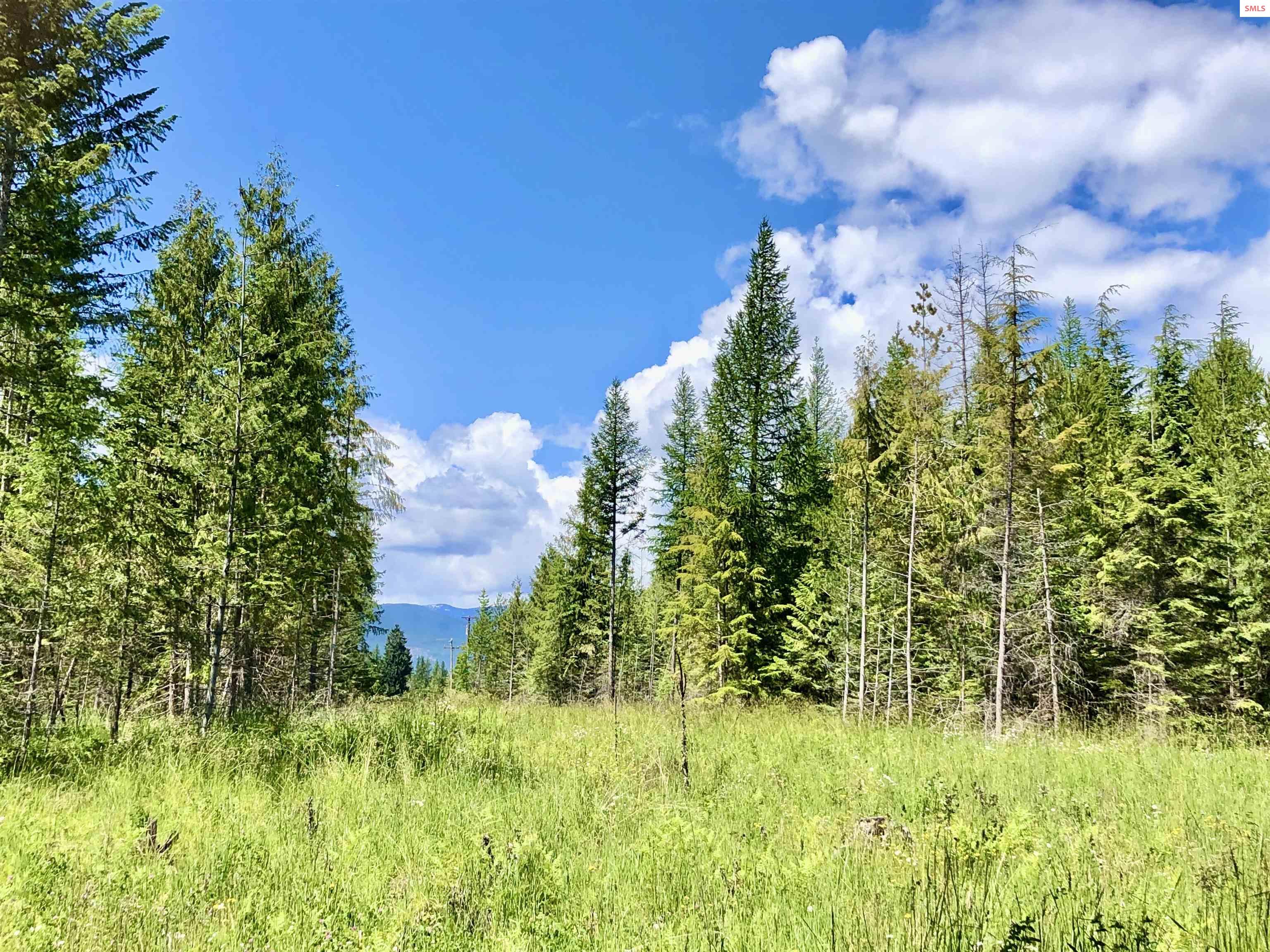 4 Lost Mile Road Naples, ID 83847 - Photo 16 of 37