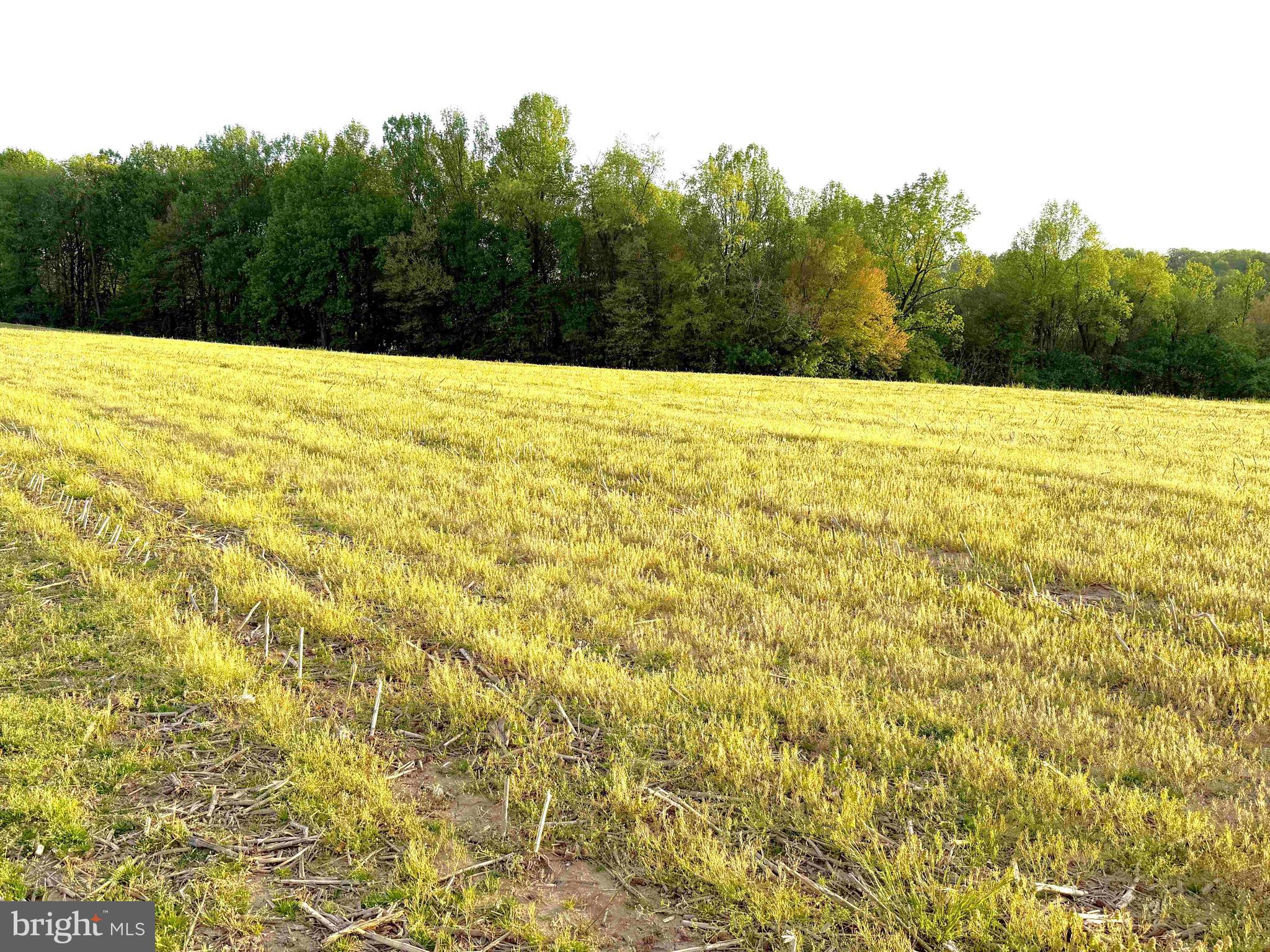 574 Cinder Road New Providence, PA 17560 - Photo 13 of 15 a view of an outdoor space and a yard