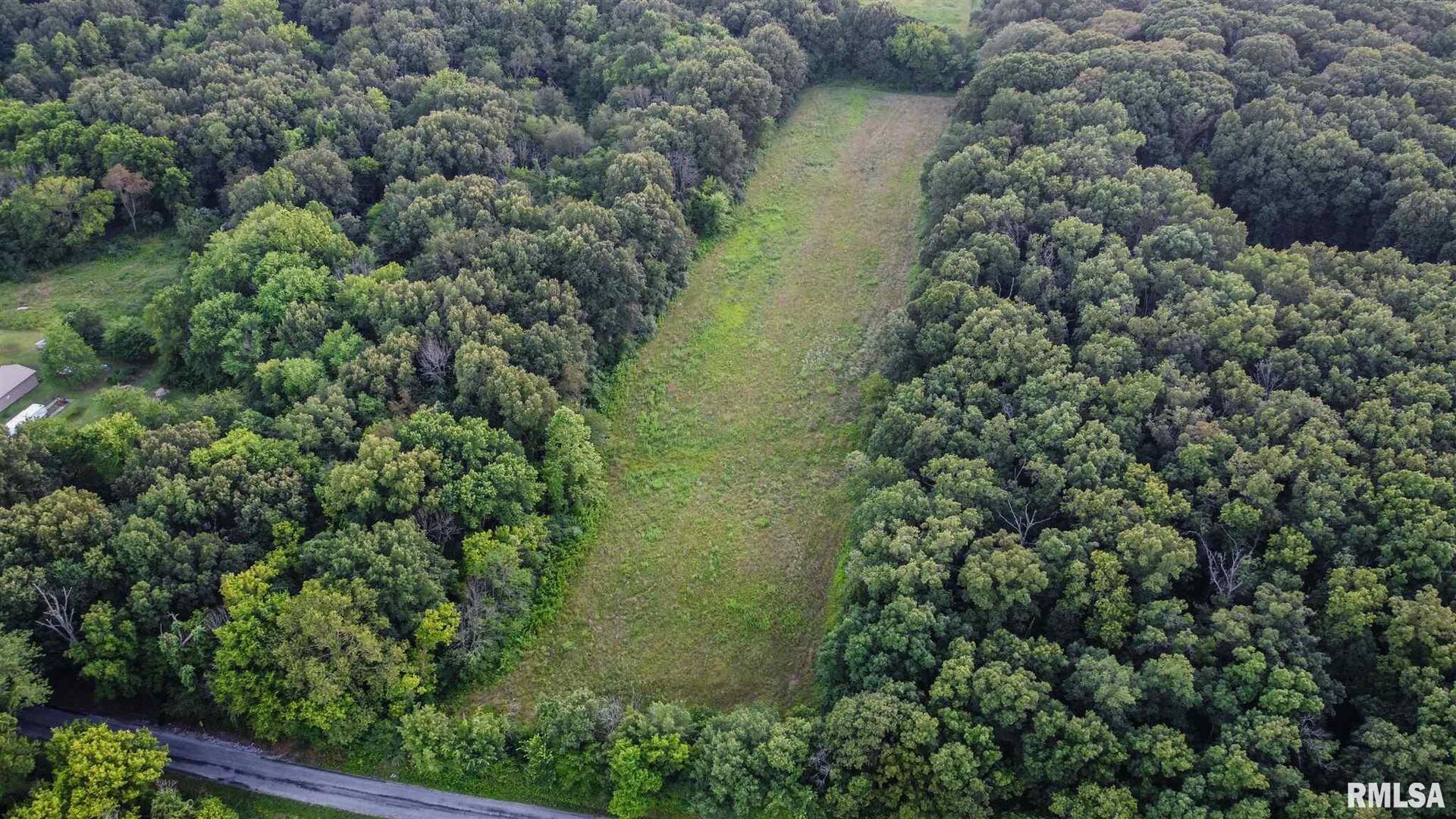 11765 Old Lake Road Benton, IL 62812 - Photo 11 of 14 an aerial view of residential house with outdoor space and trees around