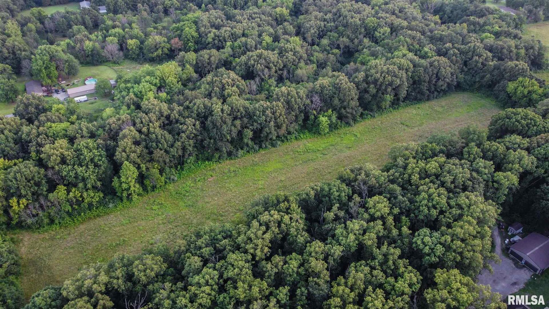11765 Old Lake Road Benton, IL 62812 - Photo 12 of 14 a view of a lush green forest with lawn chairs and plants