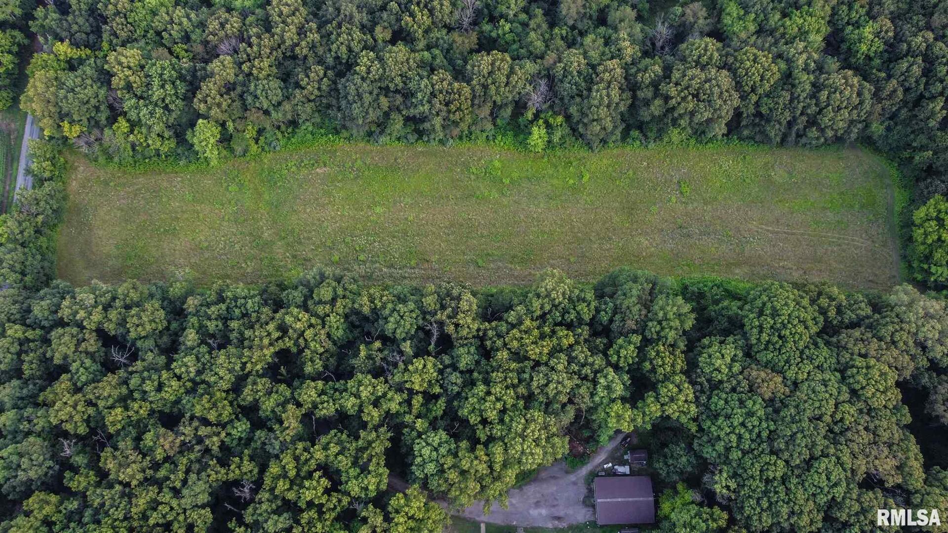 11765 Old Lake Road Benton, IL 62812 - Photo 13 of 14 a view of a garden with a lake