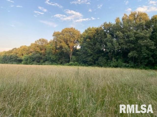 11765 Old Lake Road Benton, IL 62812 - Photo 2 of 14 a view of a field of grass and trees