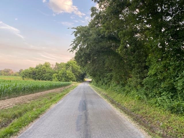 11765 Old Lake Road Benton, IL 62812 - Photo 4 of 14 a view of a road from a yard