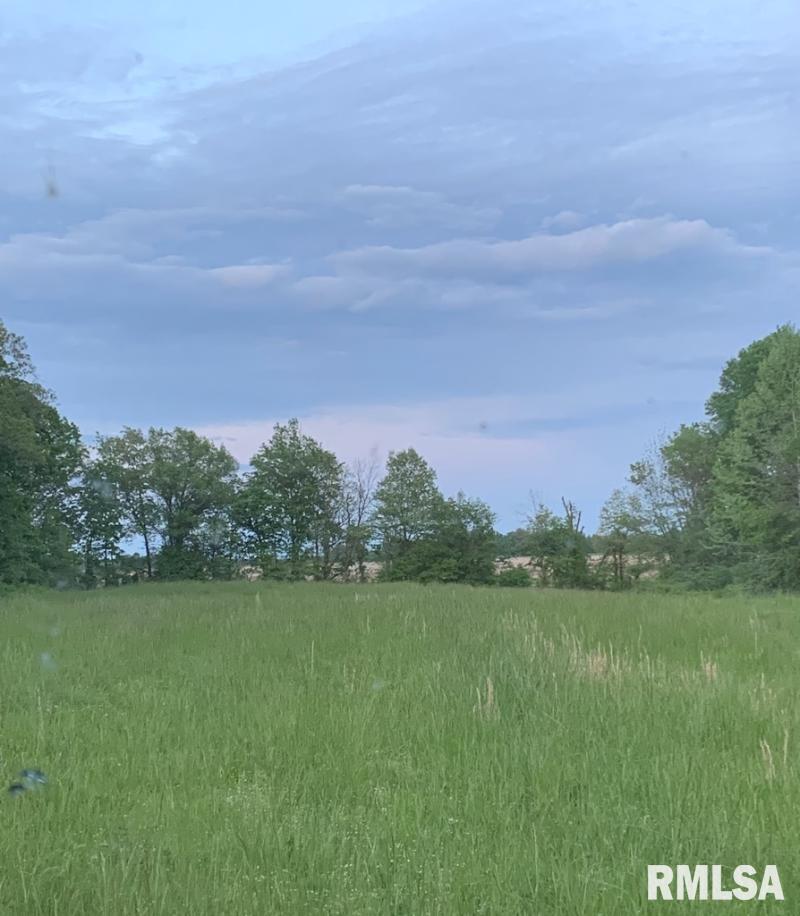 11765 Old Lake Road Benton, IL 62812 - Photo 5 of 14 a view of a lake with a big yard