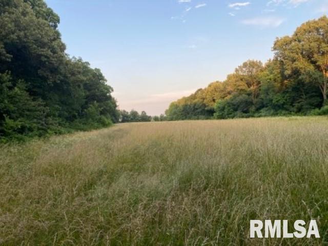 11765 Old Lake Road Benton, IL 62812 - Photo 6 of 14 a view of a field with an ocean view