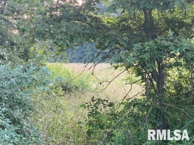 11765 Old Lake Road Benton, IL 62812 - Photo 7 of 14 a view of a yard