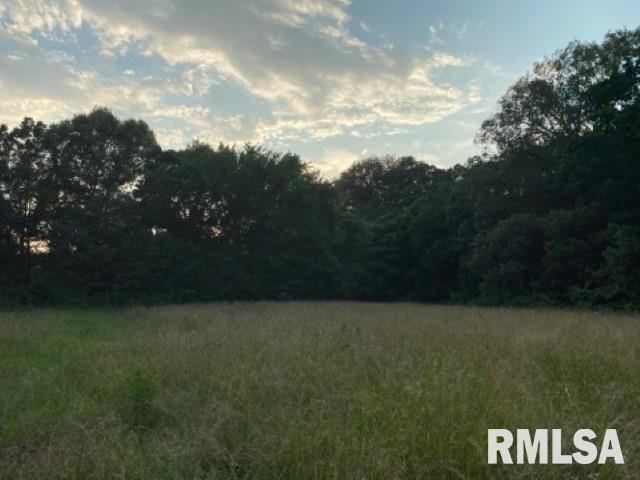 11765 Old Lake Road Benton, IL 62812 - Photo 8 of 14 a view of a field