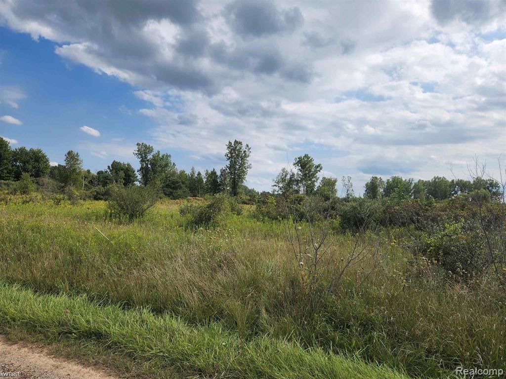 0 Silvernail Road Caro, MI 48723 - Photo 1 of 3 Gallery Image 1