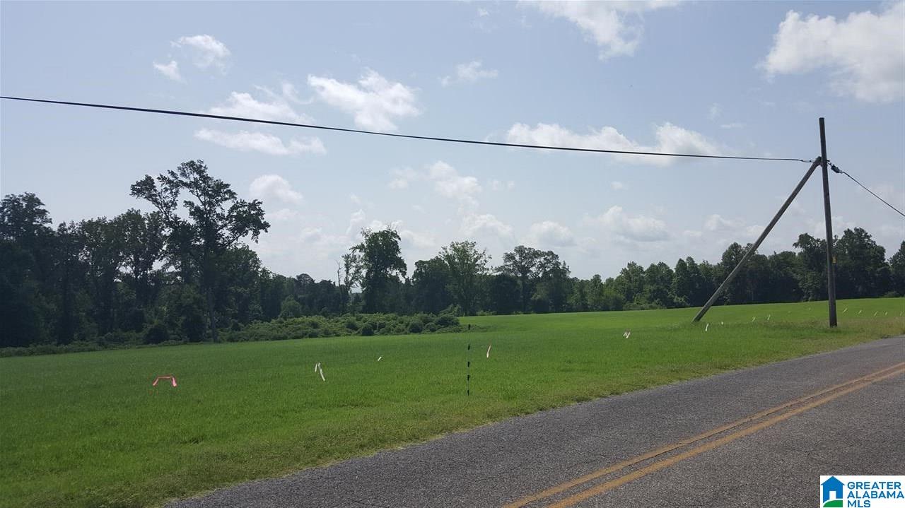 2330 Kemp Road Warrior, AL 35180 - Photo 2 of 5