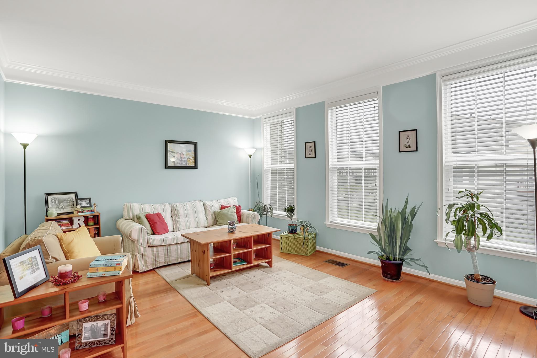 41864 Diabase Square Aldie, VA 20105 - Photo 12 of 30 Living Room