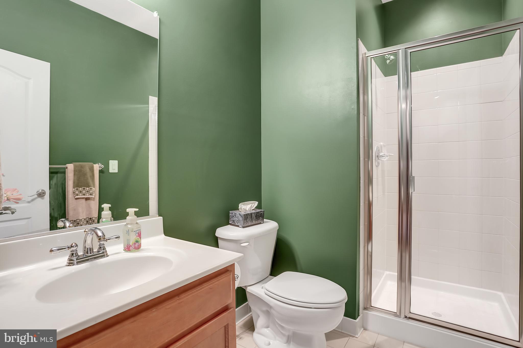 41864 Diabase Square Aldie, VA 20105 - Photo 24 of 30 Basement Full Bath