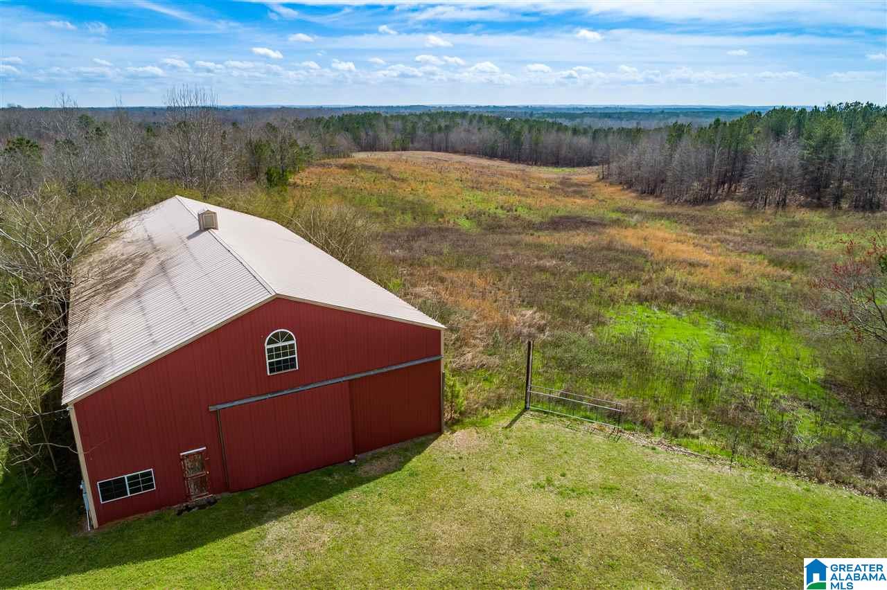 4199 Cowpens Road Alexander City, AL 35010 - Photo 4 of 50