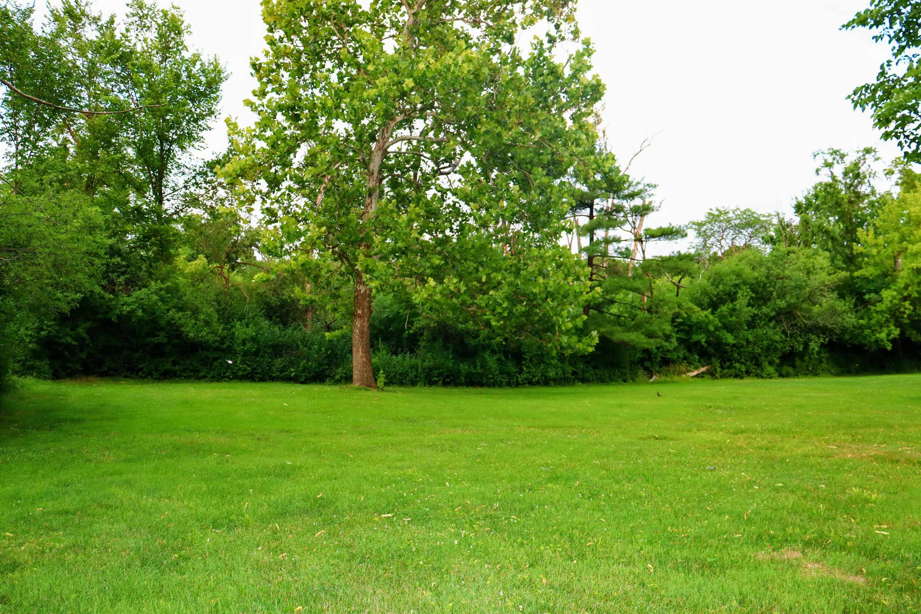 470 Brookside Road North Barrington, IL 60010 - Photo 34 of 38 a view of a green yard