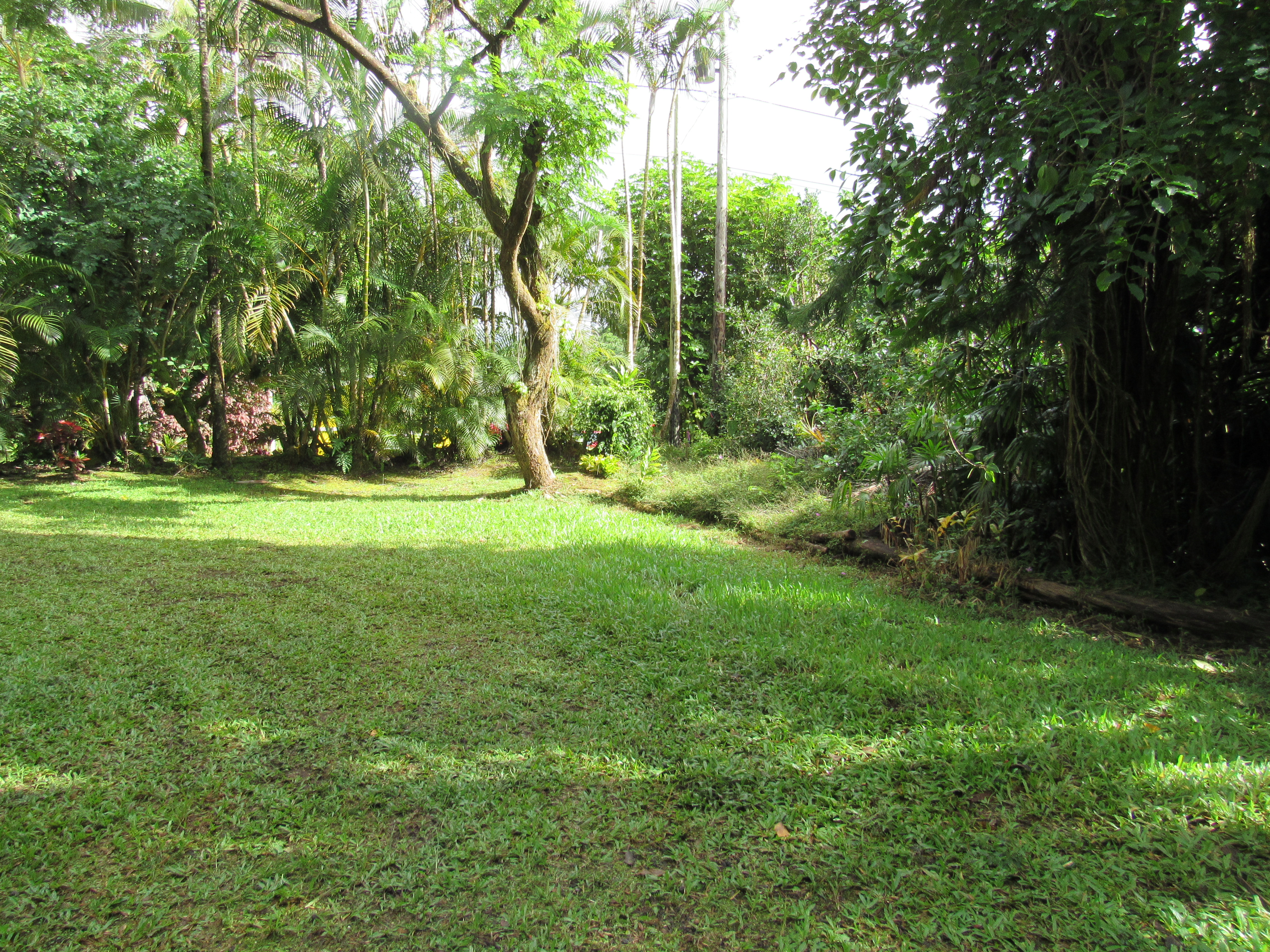 12-567 Aloha Road Pahoa, HI 96778 - Photo 28 of 30 Gallery Image 28