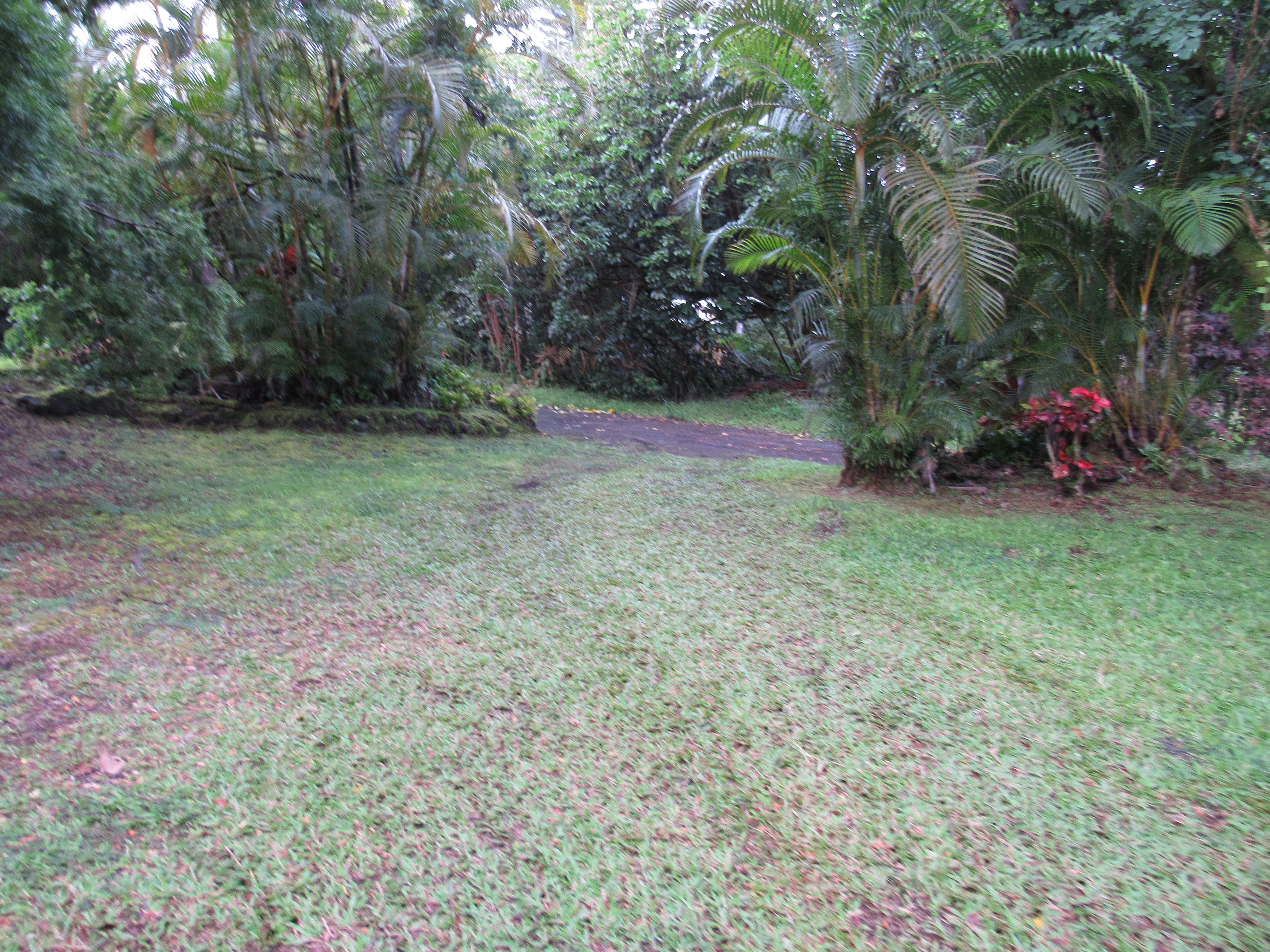 12-567 Aloha Road Pahoa, HI 96778 - Photo 29 of 30 Gallery Image 29