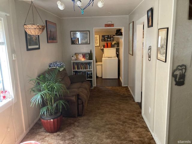 a living room with furniture and potted plant
