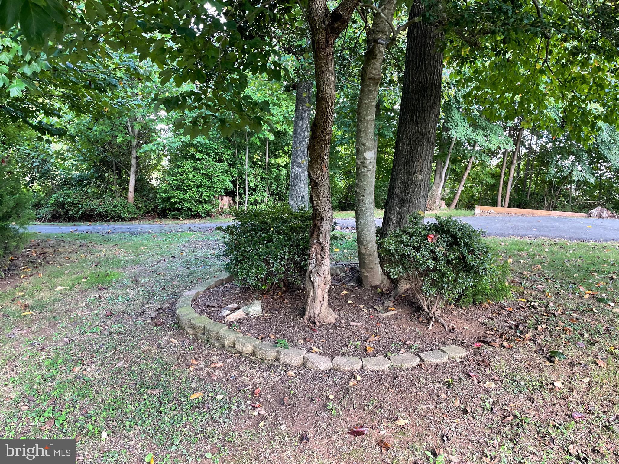 3155 Midland Road Midland, VA 22728 - Photo 19 of 83 Gallery Image 19