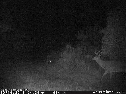 D D Johnson Mims, FL 32754 - Photo 7 of 25 IMG_1579