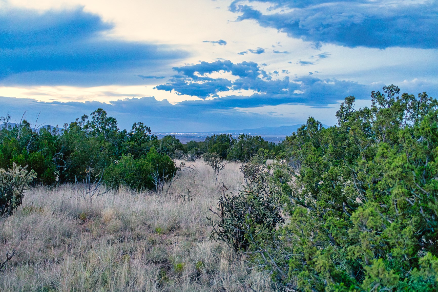 509 Gold Mine Road Cerrillos, NM 87010 - Photo 5 of 20