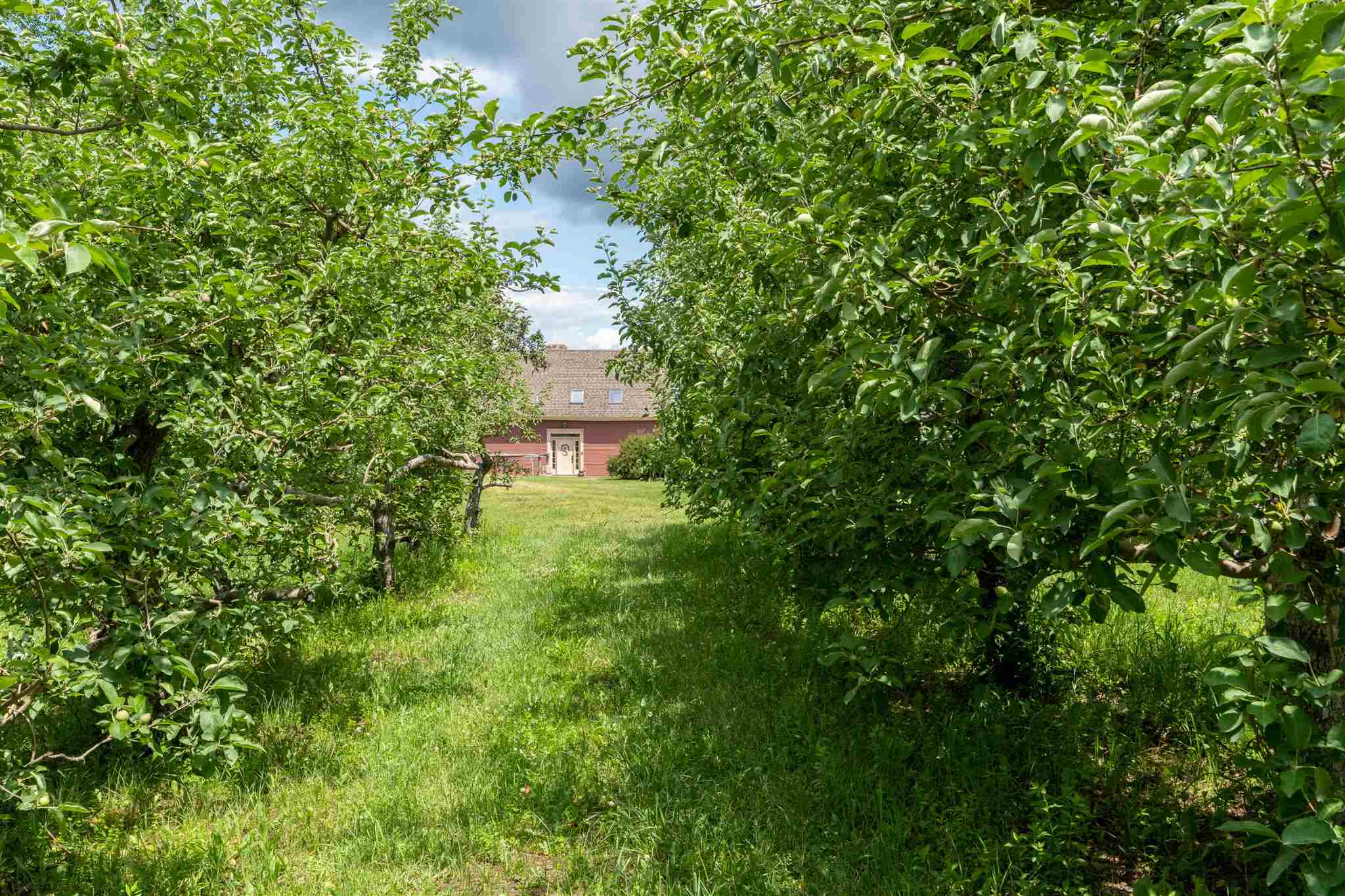 1087 Witherell Road Shoreham, VT 05770 - Photo 37 of 40