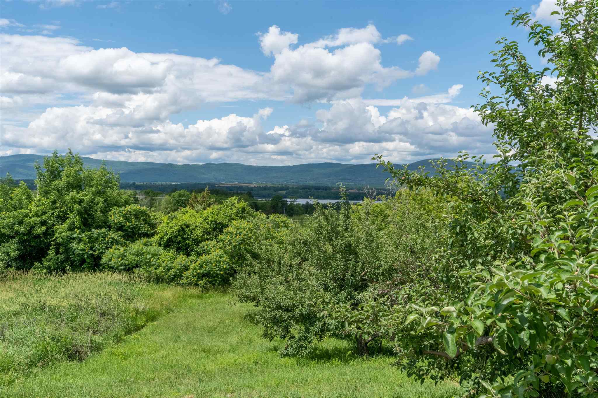 1087 Witherell Road Shoreham, VT 05770 - Photo 38 of 40