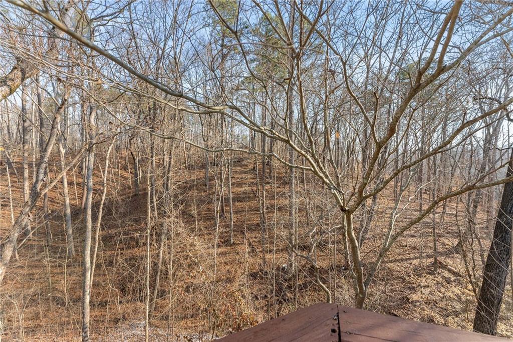 347 Norma Road Dawsonville, GA 30534 - Photo 21 of 33 a backyard of a house with lots of green space