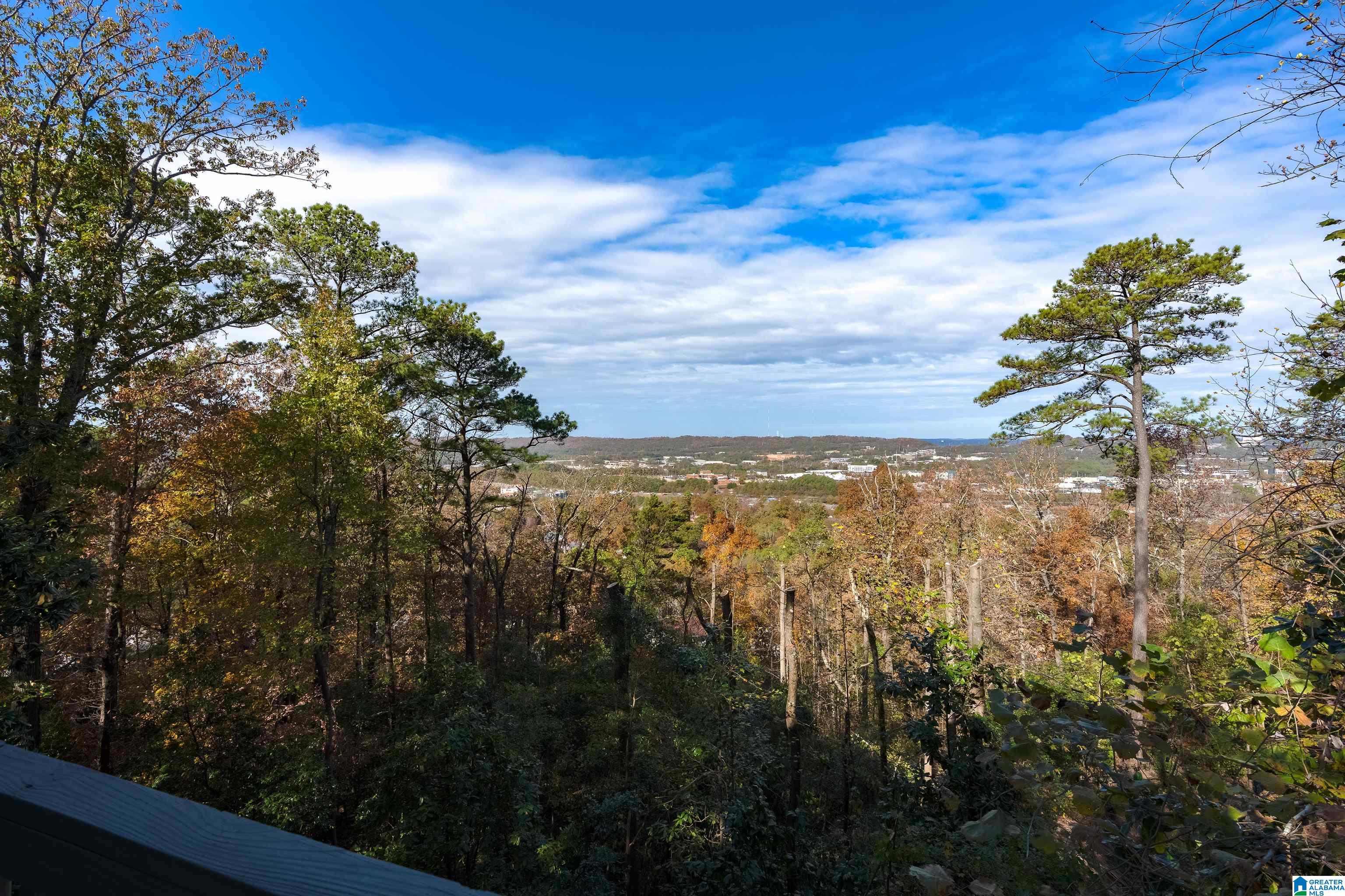 1404 Shades Crest Road Birmingham, AL 35226 - Photo 3 of 34