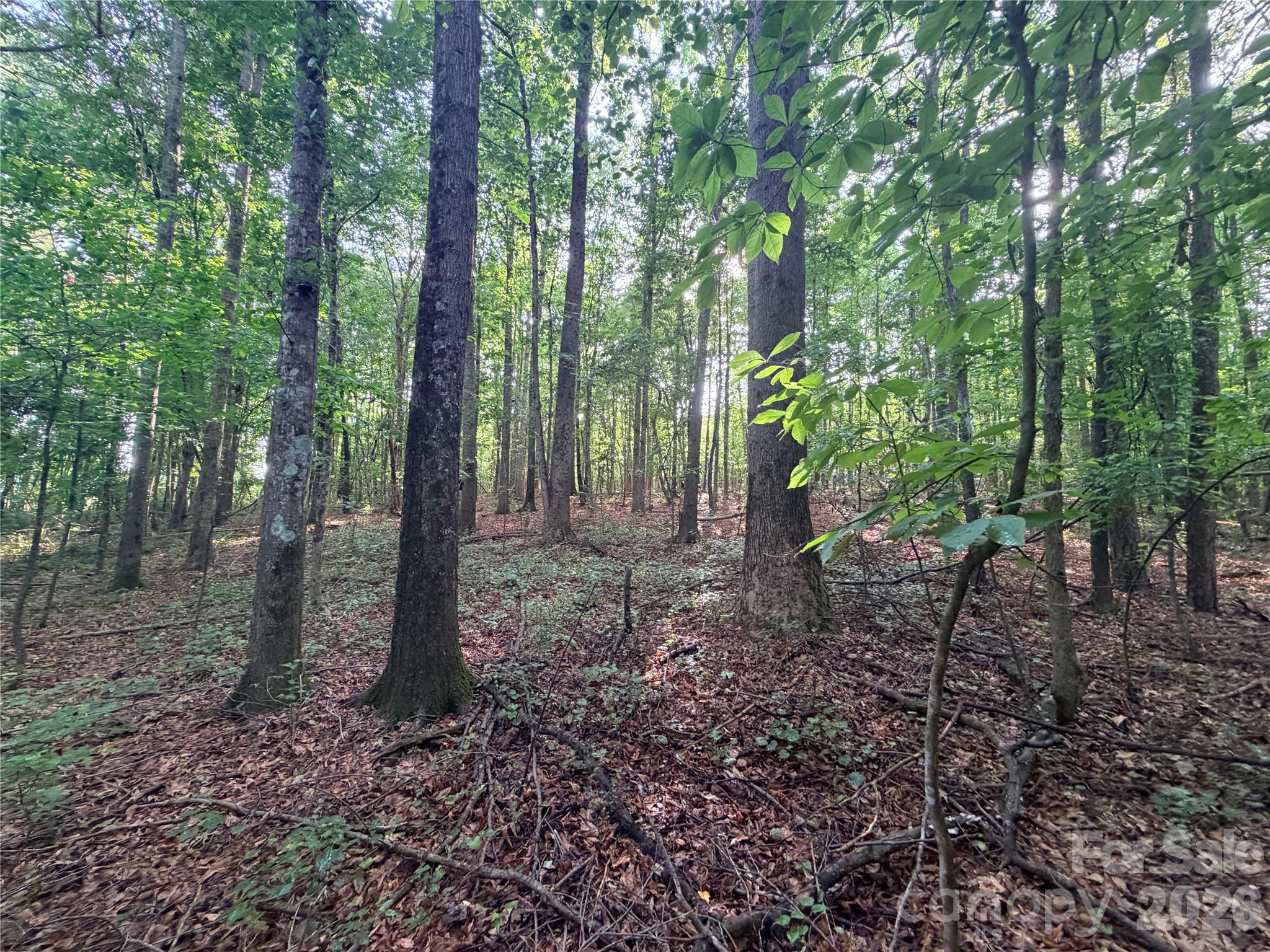 Lot 3 Schenck Farm Road Lawndale, NC 28090 - Photo 13 of 13
