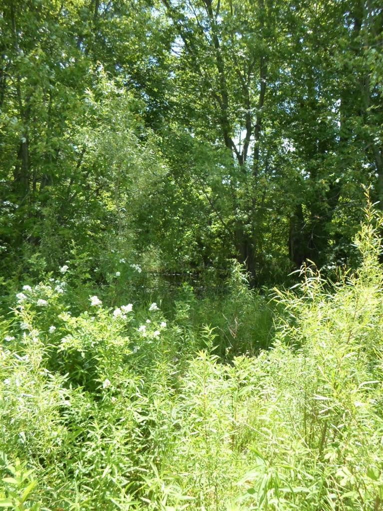 7778 Willow Road Milan, MI 48160 - Photo 14 of 19 Photo 14