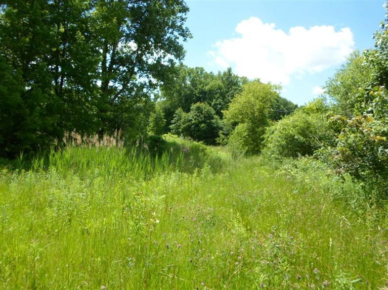 7778 Willow Road Milan, MI 48160 - Photo 17 of 19 Photo 17
