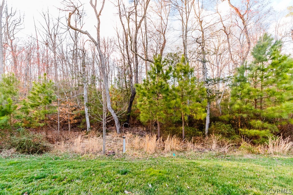 2157 Kennington Park Road, Unit 2157 Aylett, VA 23009 - Photo 23 of 26 Gallery Image 23