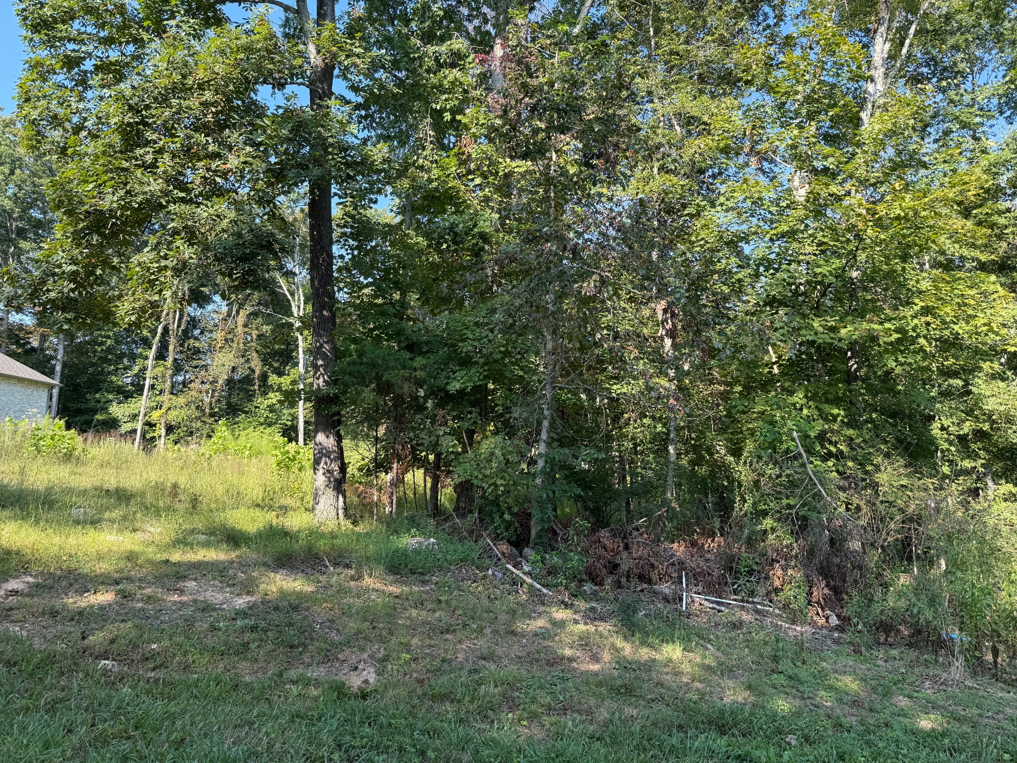 0 Ovoca Road Tullahoma, TN 37388 - Photo 3 of 6