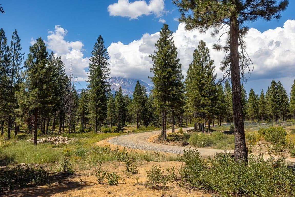 Lot East Intake Springs Road McCloud, CA 96057 - Photo 6 of 32 Gallery Image 6