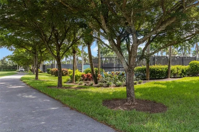 a view of a street with a tree and a sign board