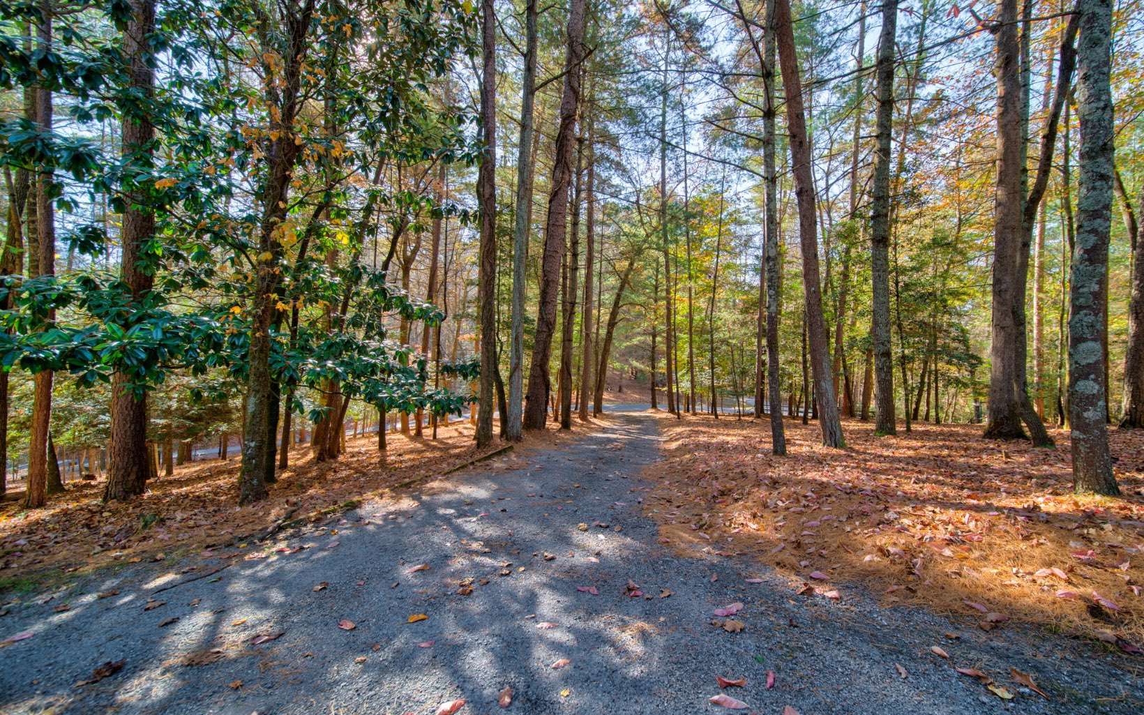 515 Indian Cave Road Ellijay, GA 30536 - Photo 31 of 39 Additional View
