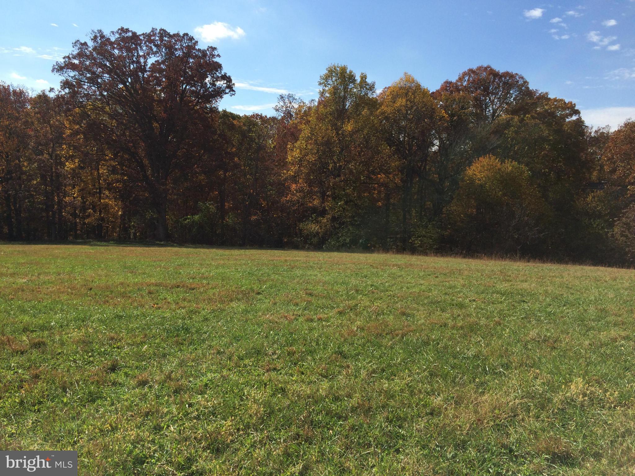 a view of a field with an trees in the background