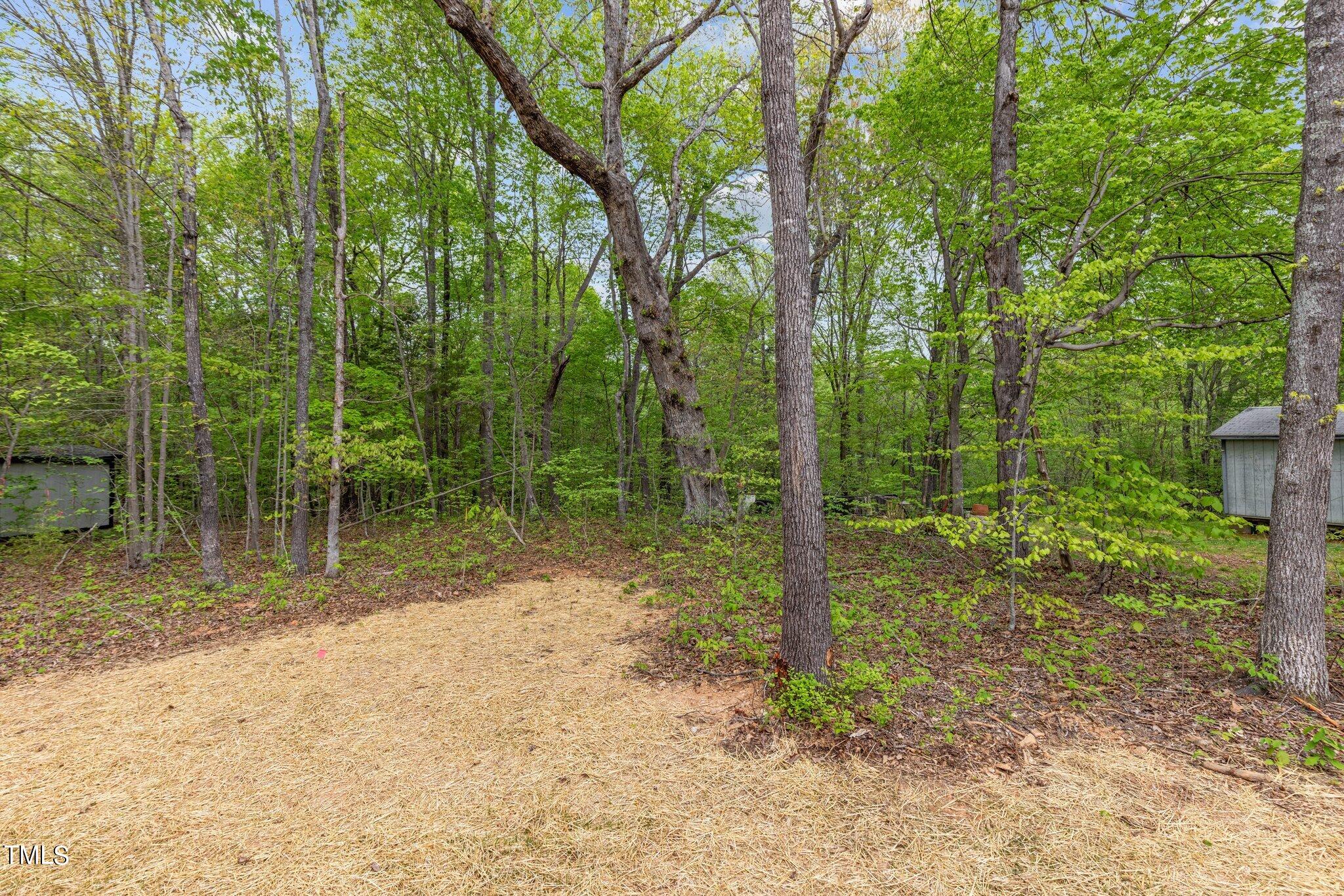 474 Street's Store Road Roxboro, NC 27574 - Photo 35 of 49 34-web-or-mls-8Y3A0204