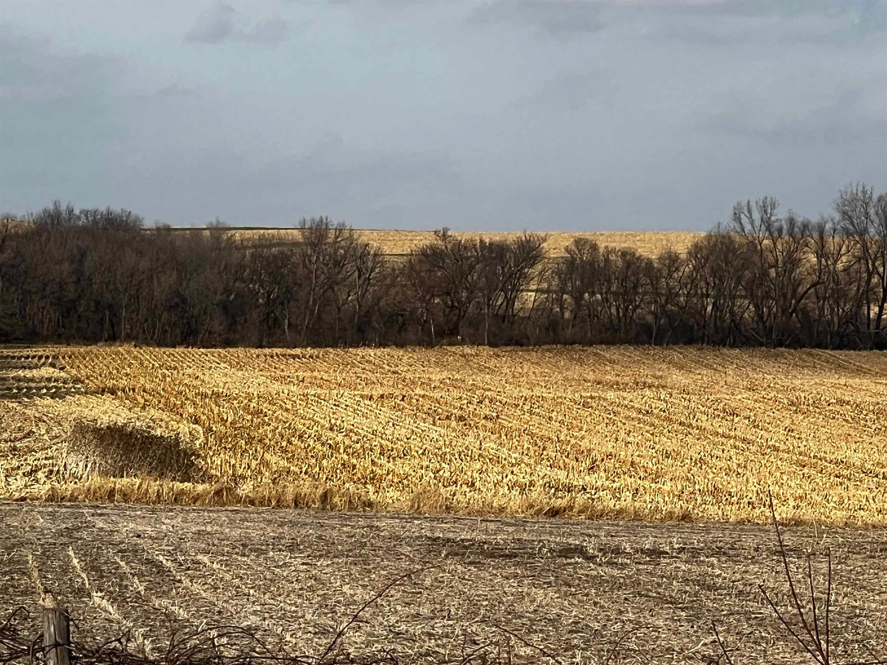Lot 2 County Road Delhi, IA 52223 - Photo 1 of 2 Gallery Image 1