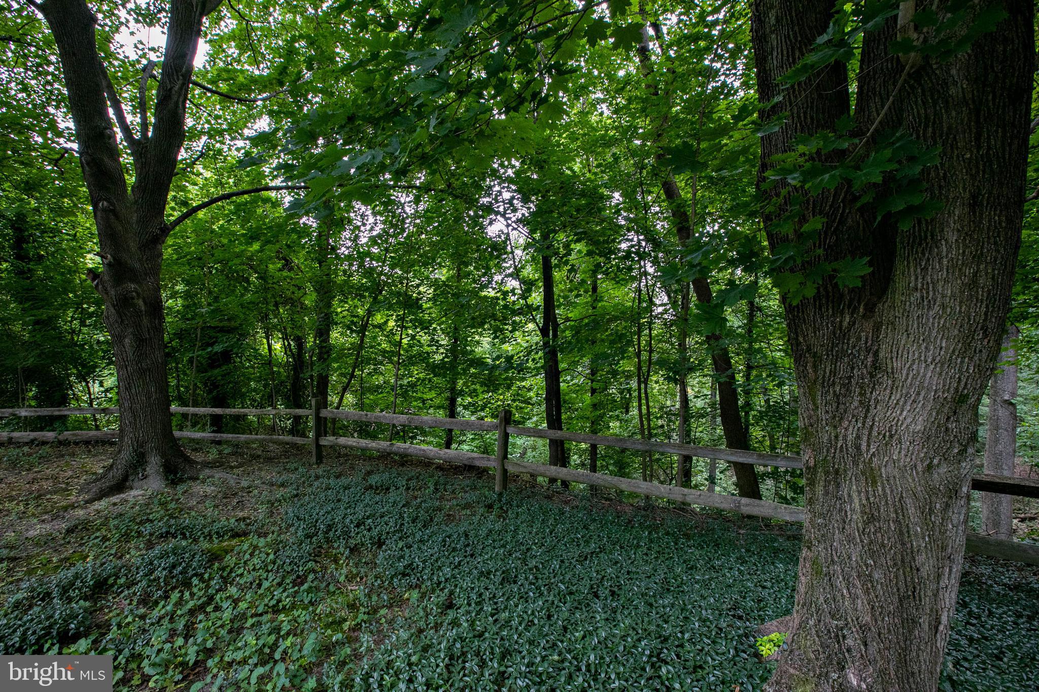 135 Erial Road Clementon, NJ 08021 - Photo 43 of 43