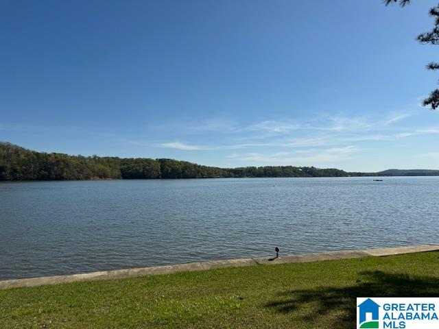 5404 Ranch Marina Road, Unit 17 Pell City, AL 35128 - Photo 1 of 22